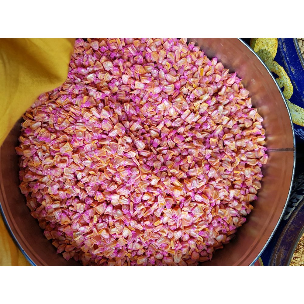 Jual Bibit Jagung Manis super terbaik