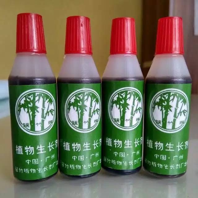 Pupuk Anggrek Lengkap Resep Khusus dari China pupuk bunga