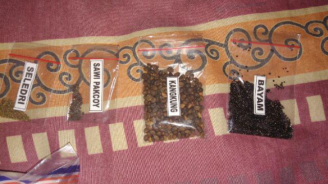 Benih Bibit Kangkung Super Kemasan Ecer