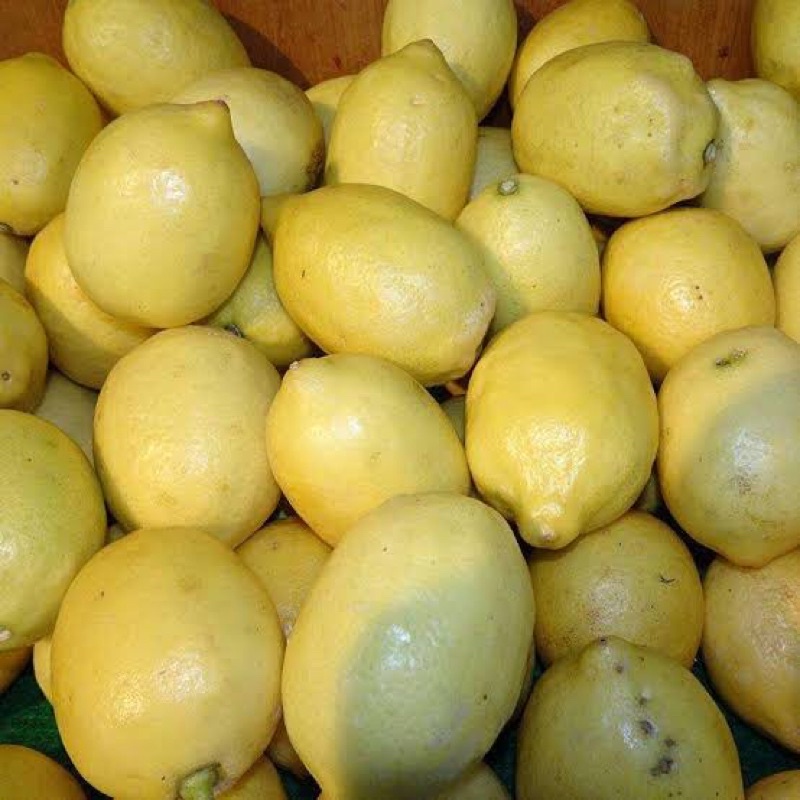 

Lemon Lokal 1Kg Fresh