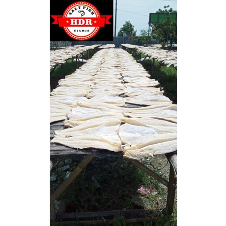 

ikan asin jambal utuh manyung 1kg murah enak daging ngeprul