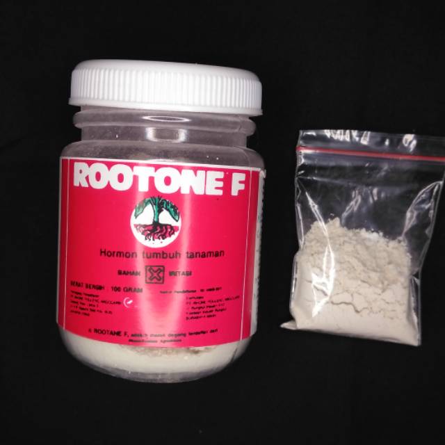 Eceran Rootone F 10gr hormon perangsang akar untuk stek dan cangkok