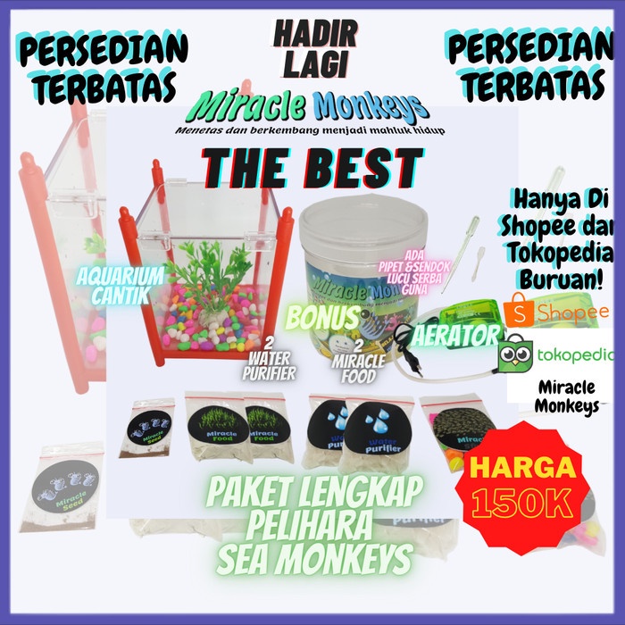 ✔COD✔ Miracle Monkey The Best - Peliharaan Ajaib Sea Monkey terlengkap