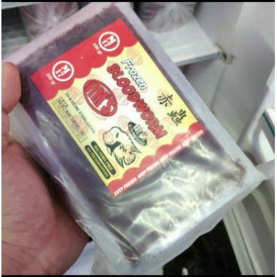 Cacing Beku M17  Bersih dan Merah