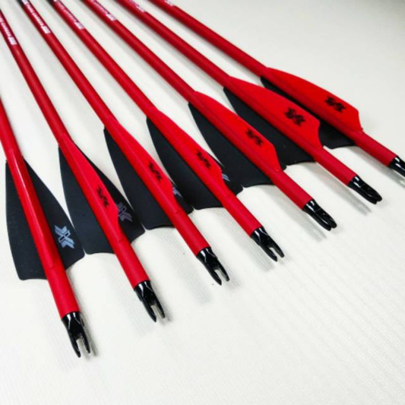 ARROW XXX-PRIDE PURE CARBON 300 - Pure Carbon Arrow Spine 300 - Arrow Full Karbon Olahraga