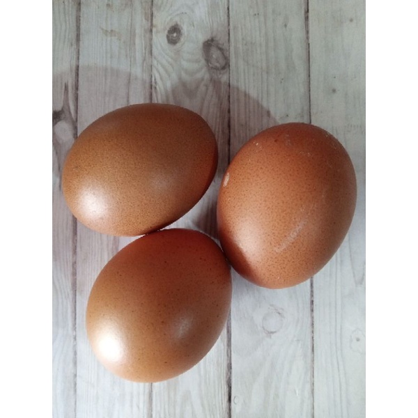 

Telur ayam negeri 1 Tray isi 30butir