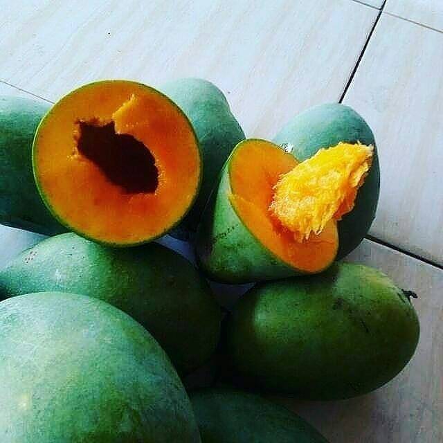 

MAANGGA APUKAT 5 KG