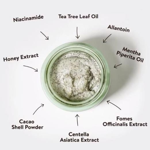 ☘️ CHAROZA ☘️ NPURE Clay Mask Centella Asiatica Chocomint 50GR