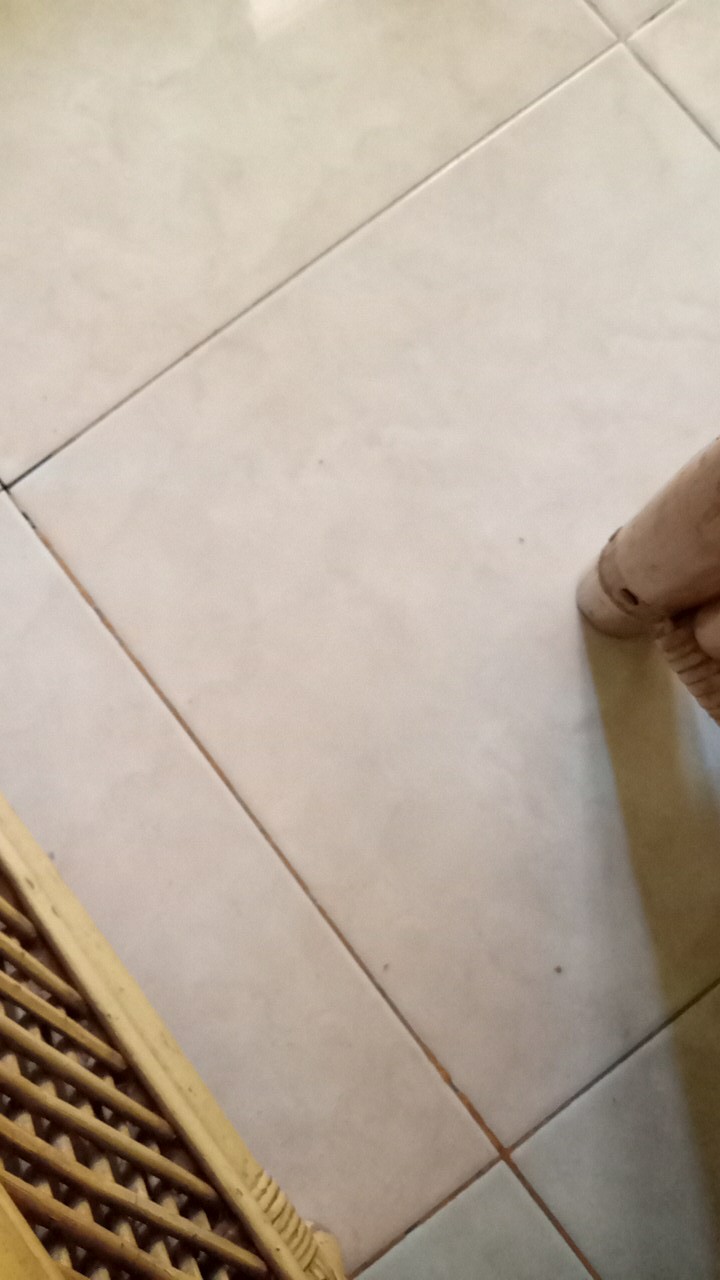 Gembok Besi Stainless Pendek 40mm Push On