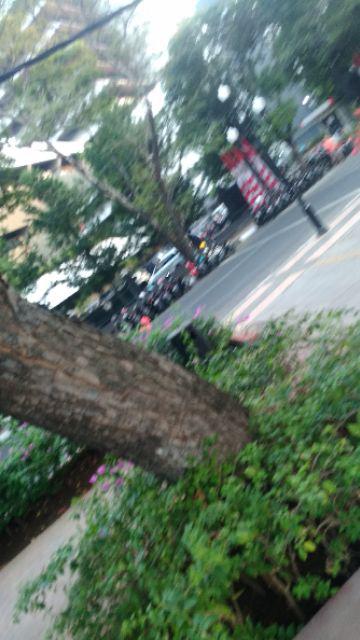 [𝐏𝐑𝐈𝐍𝐂𝐄𝐒𝐒] Sprei Murah Motif Anak / Sprei Karakter Beruang / Seprai Bear / Sprei Anak Grosir