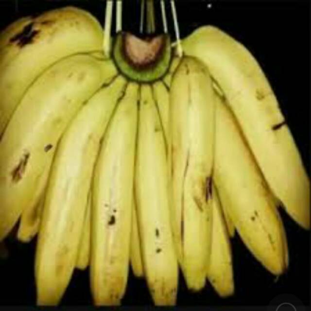 

Pisang ambon