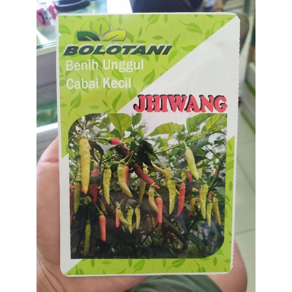Benih cabai kecil JHIWANG