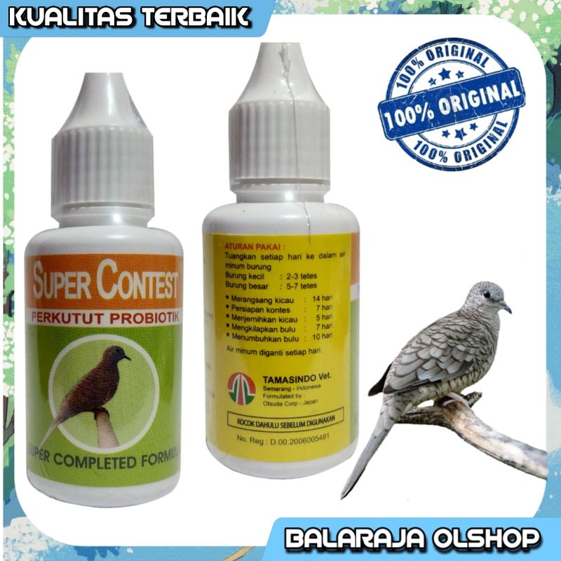 SUPER CONTEST PERKUTUT PROBIOTIK VITAMIN BURUNG PERKUTUT