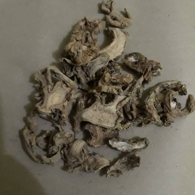 Lempuyang wangi kering