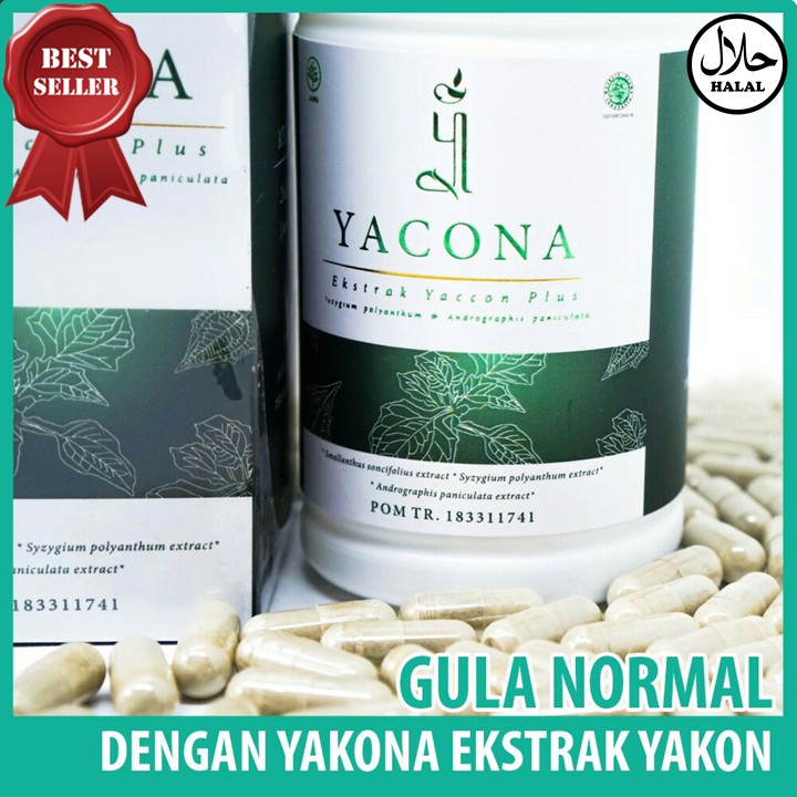 YACONA, YACONA ASLI, YACONA DIABET, YACONA ASLI OBAT DIABETES HERBAL