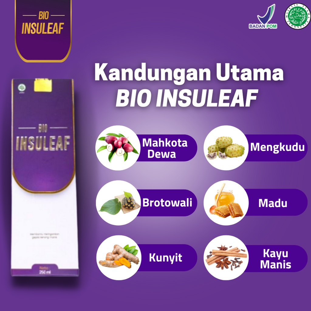 BIO INSULEAF ORIGINAL | Herbal Alami Turunkan Gula Darah - Ringankan Gejala Kencing Manis Solusi Atasi Diabetes 250ml