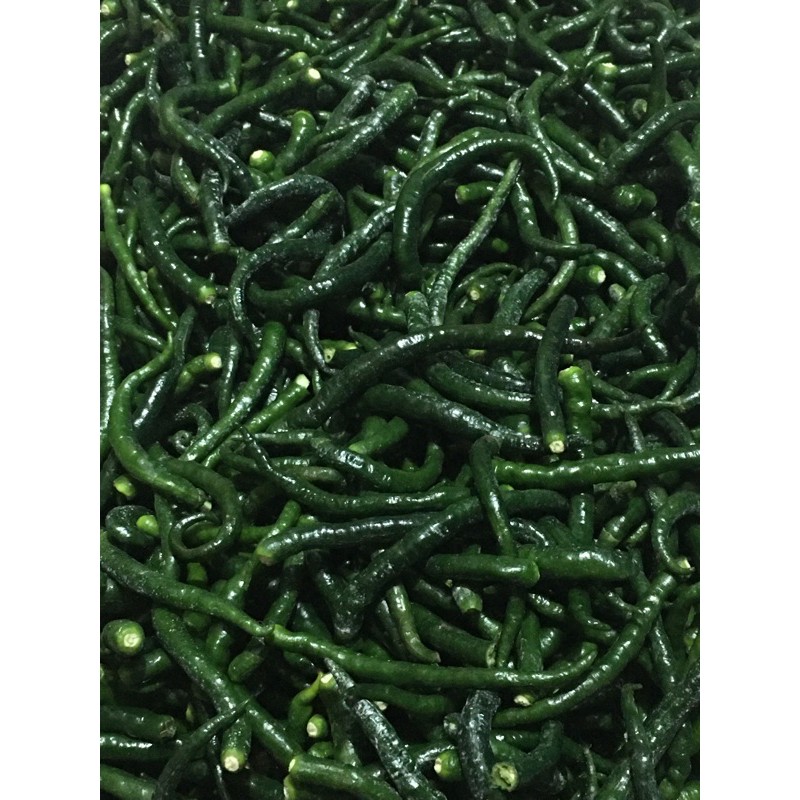 

cabe hijau segar 1kg Rp30000