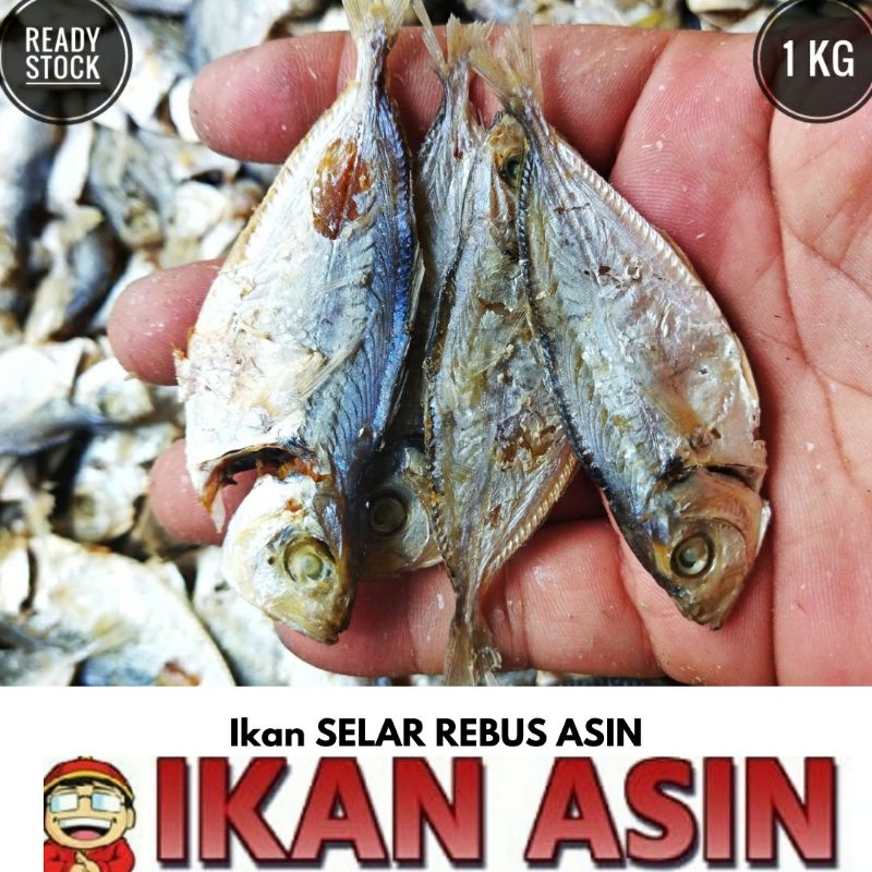 

Ikan Asin SELAR REBUS 1 kg