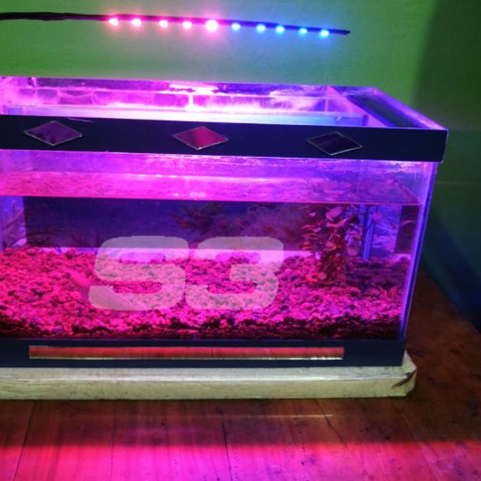 ⚡pecial 7.7 Lampu Aquarium Lampu Aquascape Pink Biru 10 led Lampu Soliter Cupang Lampu Aquarium Mura
