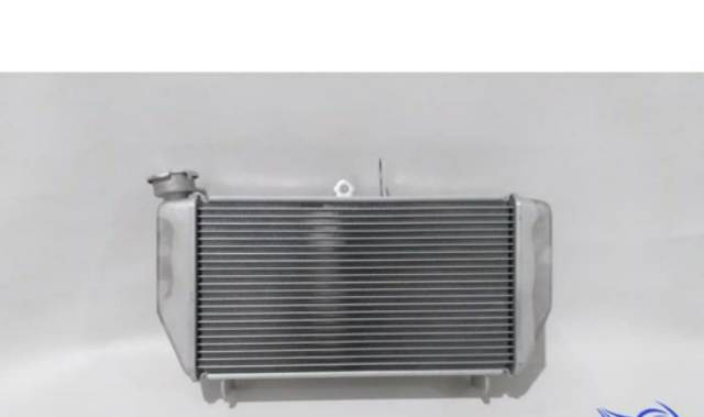 RADIATOR R25 R 25 ASLI ORIGINAL YAMAHA 1WD E2461 00