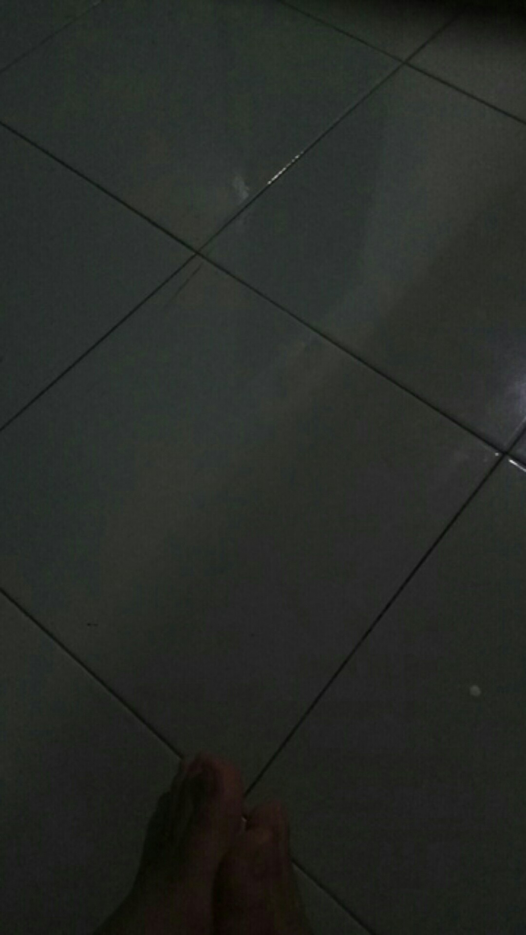 Set 4 Prasmanan Segi Stainless + 1 Warmer Stove Bulat + 5 Sendok Paket Hemat - Alat Dapur Pontianak