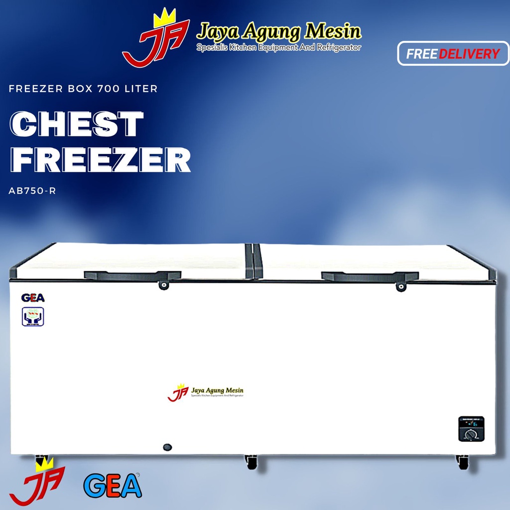 Chest Freezer GEA AB-750R/AB 750R Freezer Box/Freezer Box AB 750R GEa