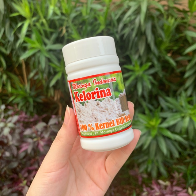 Kelorina Kapsul Biji Kelor / Royal Moringa Oleifera untuk Kesehatan