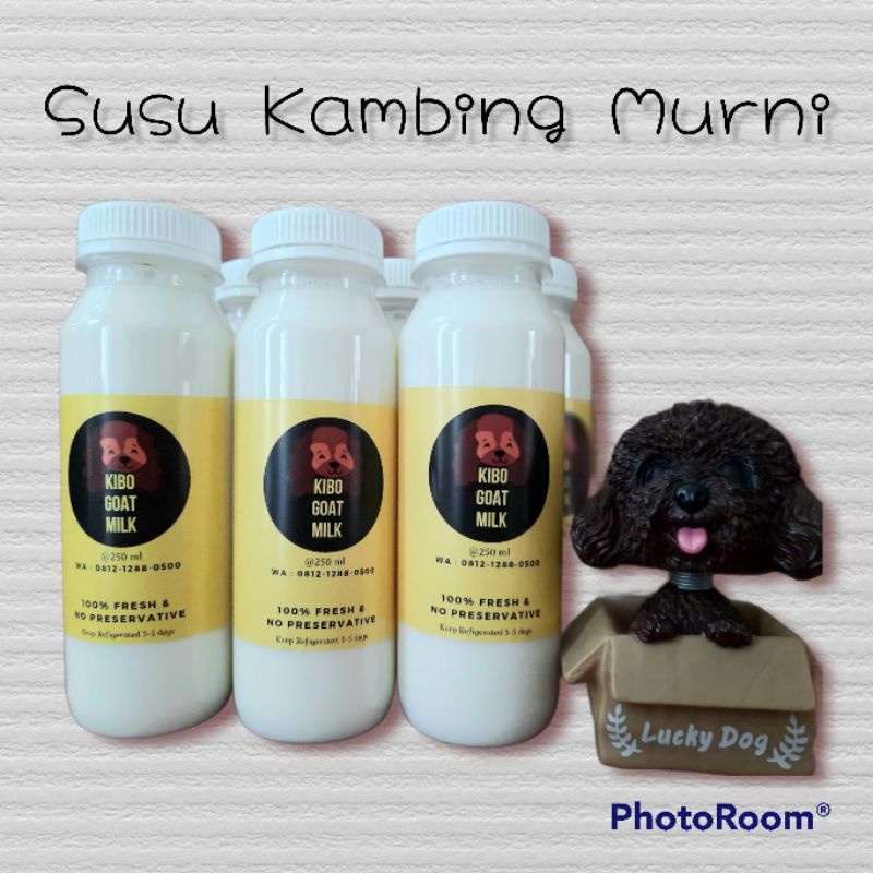 

Susu Kambing Etawa Murni