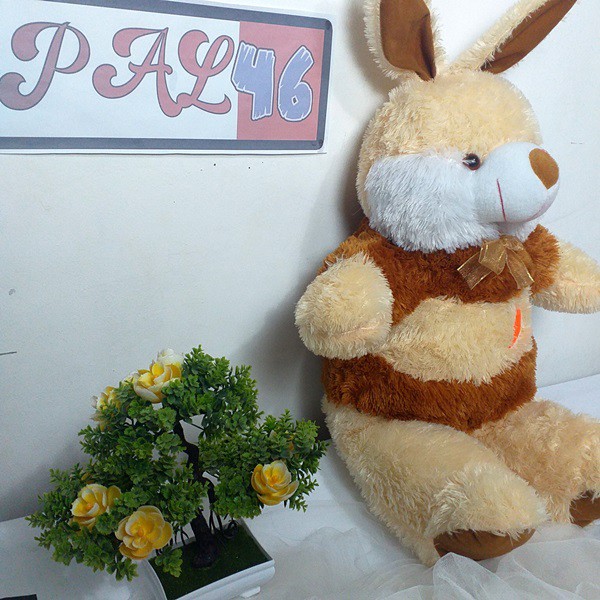 Boneka Kelinci Wortel / Boneka Kelinci Lucu / Kelinci Wortel Ukuran L / Boneka Rabbit