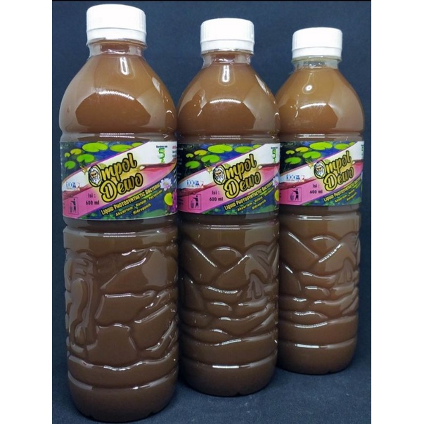 Ompol dewo bakteri fotosintesis