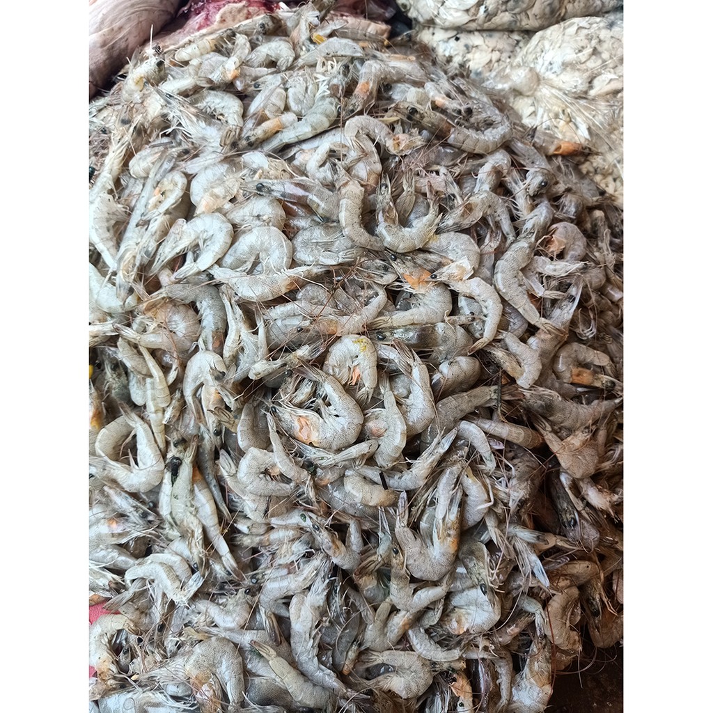 

Udang Basah Kecil Fresh - 250 Gram