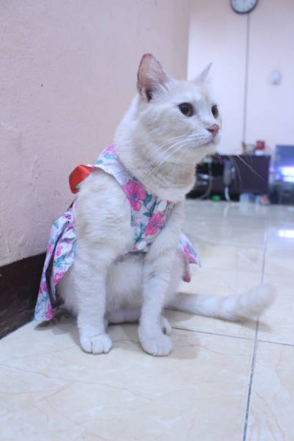 Dress kucing motif bunga-bunga pink lucu untuk kucing dan anjing / baju kucing murah size S-XL