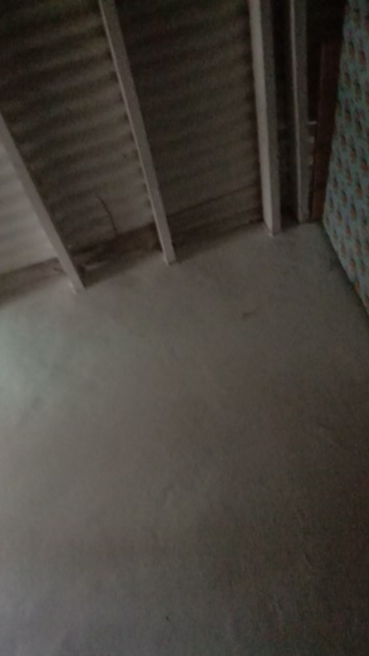 Rajakarta Payung Transparan Standar Tongkat Motif Mix Banyak Karakter Lucu