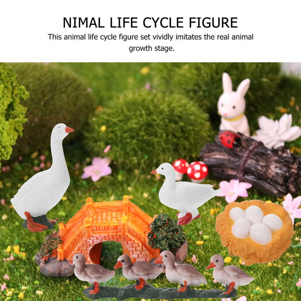 Needway Life Cycle Figure Science Kids Swan Model Hen Miniatur Mainan Edukasi Cycle Bebek Figurine