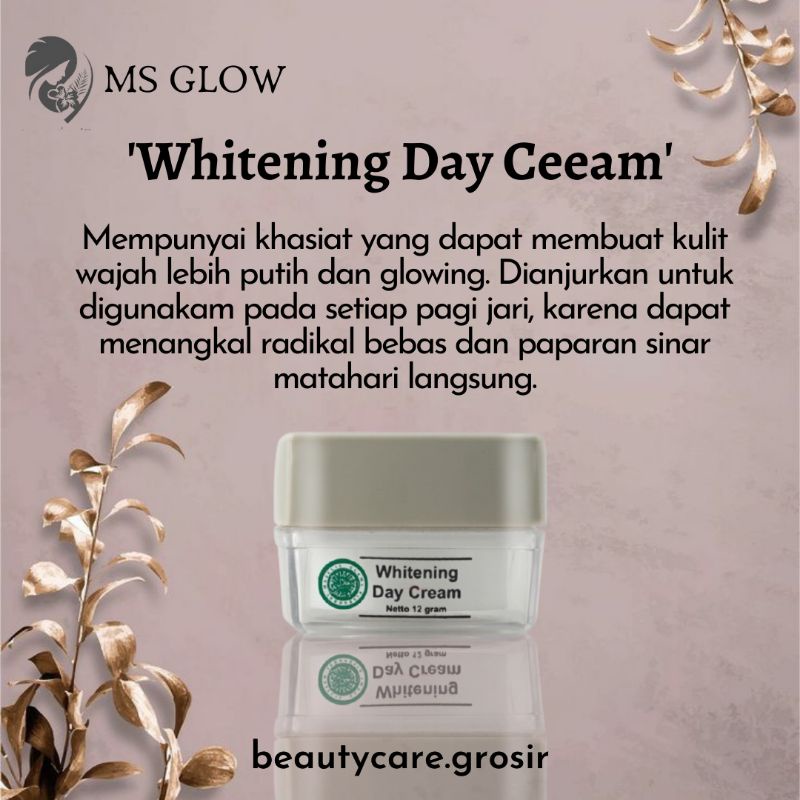 DAY CREAM MS GLOW