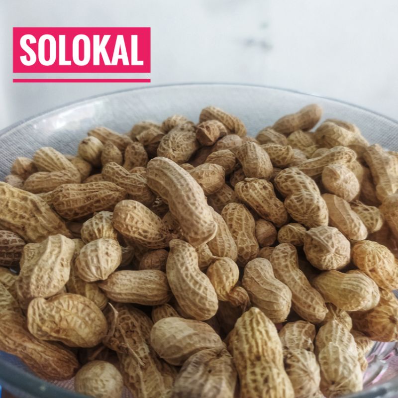

200 Gram KACANG KULIT Kacang kulit Renyah GURIH NAGIH