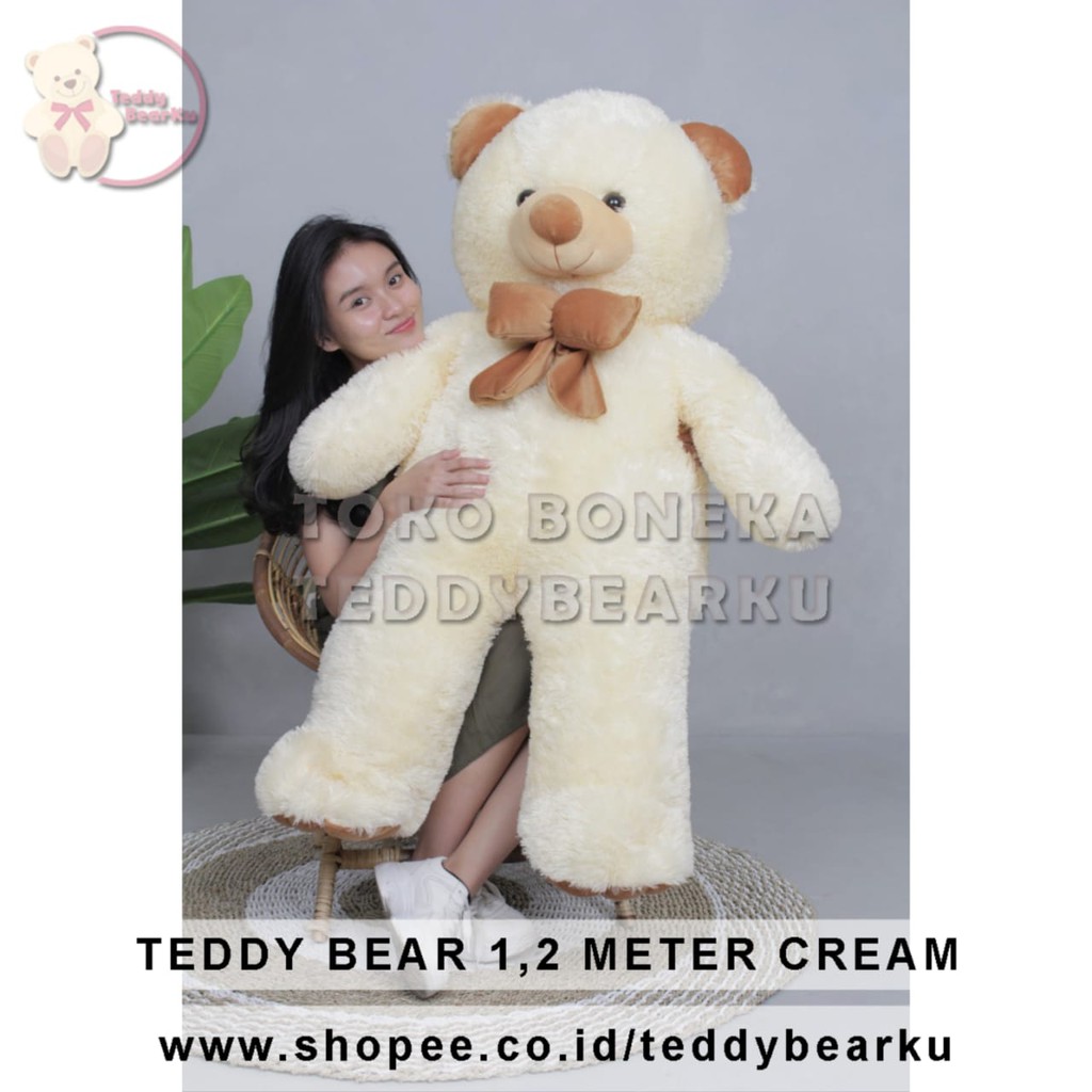 Boneka Teddy Bear Super Jumbo 1,2 Meter Warna Cream