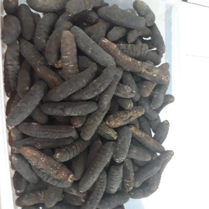 

Haisom Gosok 40 (100 Gram)