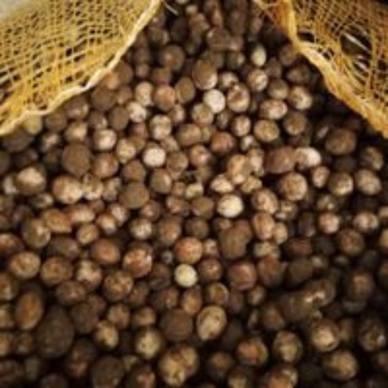 

Kacang bogor mentah