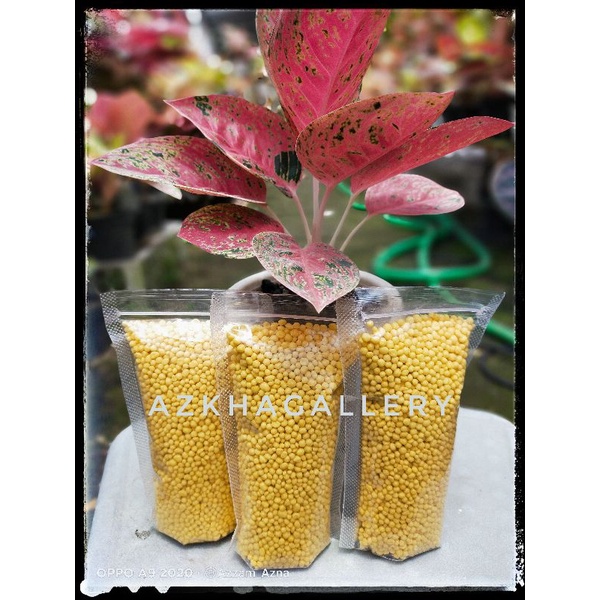 Pupuk Slow Relase Russel cote 40-0-0 kemasan 100gr / Pupuk Tanaman Aglonema