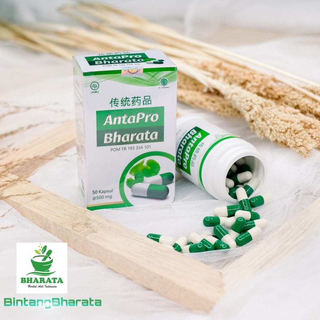 

Obat Struk Ringan AntaPro - BintangBharata25