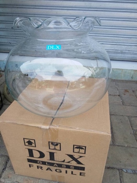 AQUARIUM BULAT/FISH BALL 12 LITER
