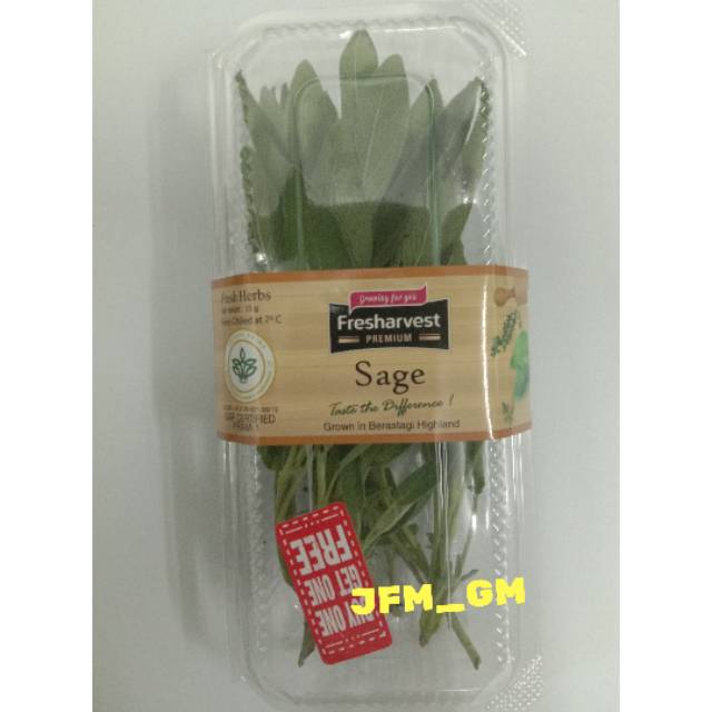 

FRESHARVEST HERBS SAGE 15GR / SAGE MURAH / SAGE SEGAR / SAGE FRESH