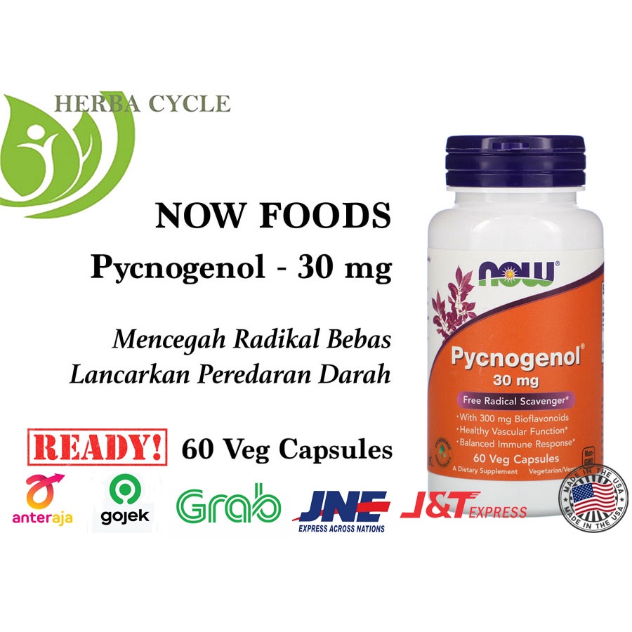 Now Foods Pycnogenol 30 mg 60 Veg Capsules Cegah Radikal Bebas Kesehatan Daya Tahan Imun Tubuh ORI USA NOW SALE