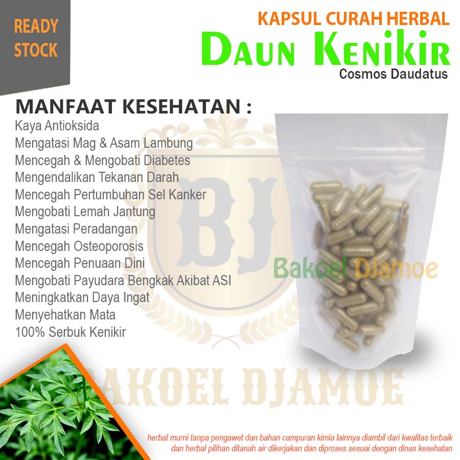 

Kapsul curah herbal daun kenikir kapsul herbal antioksidan maag dan asam lambung