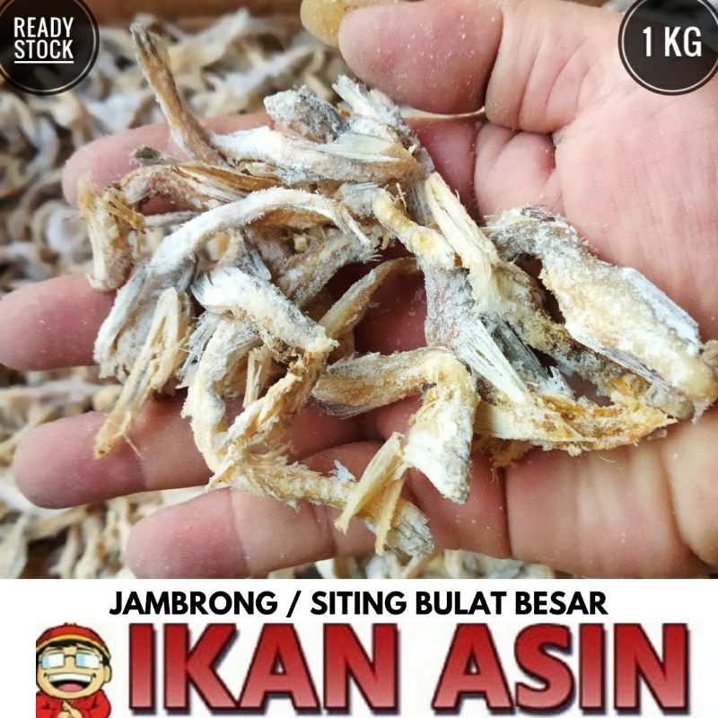 

Ikan Asin JAMBRONG / SITING / SITENG BULAT BESAR / GESEK CANGAK 1 kg