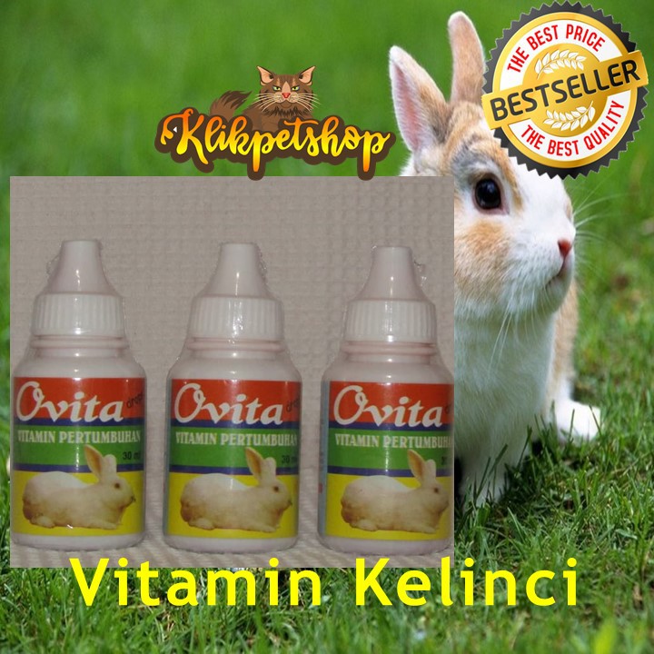 Ovita Drop Vitamin Pertumbuhan Kelinci