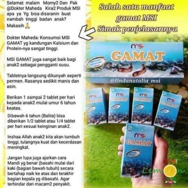 MSI GAMAT -GAMALIFE gold msi