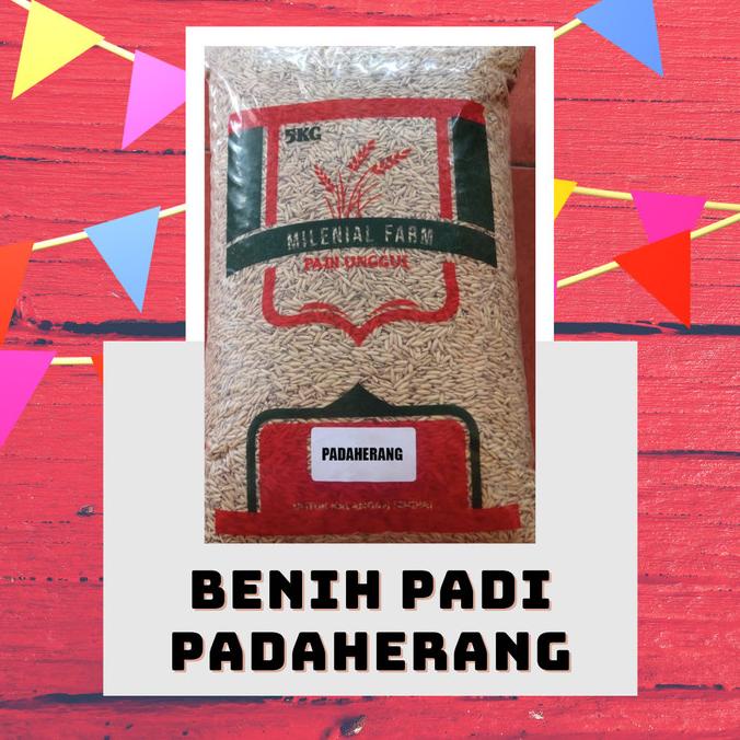 

Padi Unggul Padaherang Kemasan 5 Kg