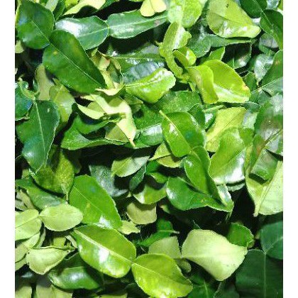 

DAUN JERUK 1KG